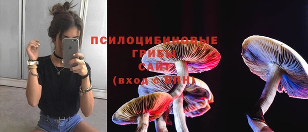 хмурый Абинск