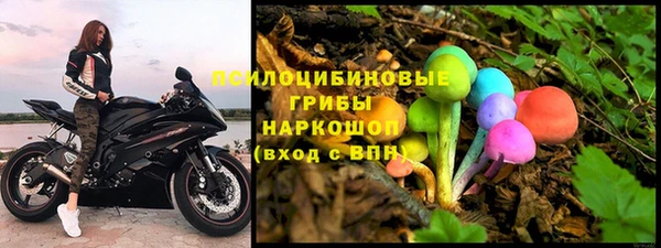 spice Снежногорск