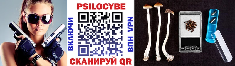 shop как зайти Бирюсинск Псилоцибиновые грибы Cubensis купить